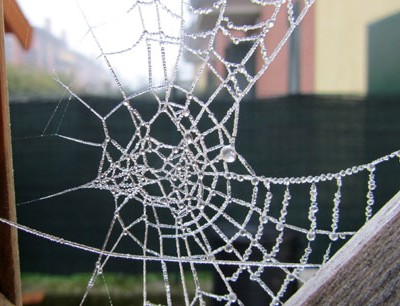 Il marketing virale