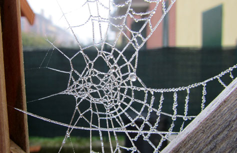 Il marketing virale