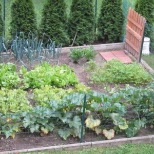 Agrofarmaci. Aggiornamento a Myplant&Garden 2020