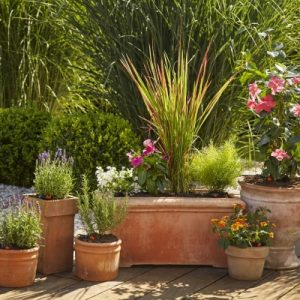 Cresce l’offerta Micro-Drip-System di Gardena
