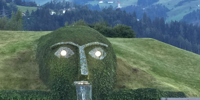 2015. Macchine da giardino in crescita