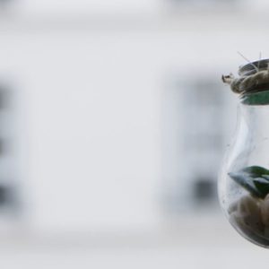 ManoMano, l’estate green degli italiani