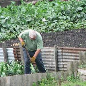 Nuovo sondaggio. 1,2 mln sono agricoltori per hobby