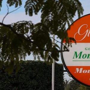 Mondo Verde. Ecco il mio garden d’attrazione