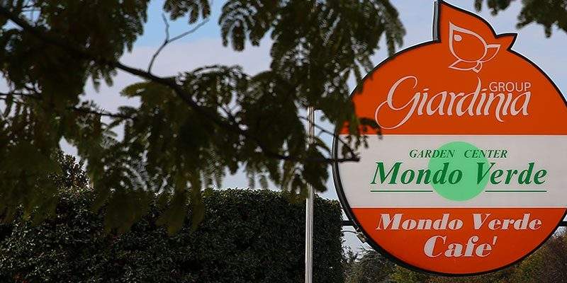 Mondo Verde. Ecco il mio garden d&rsquo;attrazione