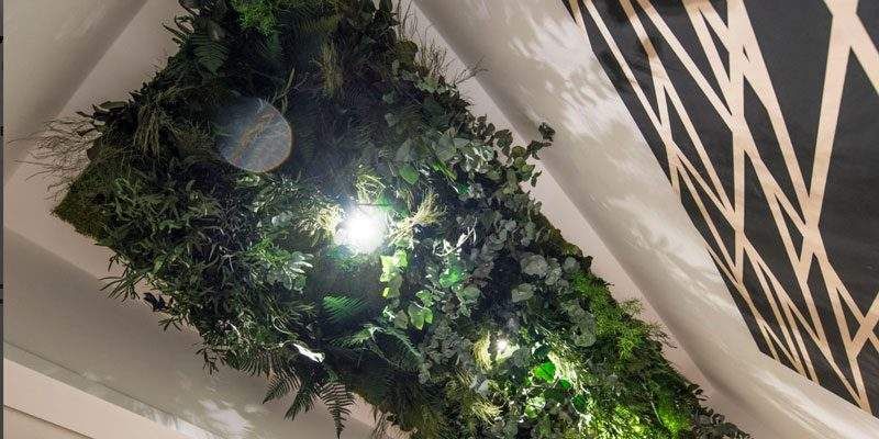&ldquo;Welcome to the jungle &ndash; Benvenuti nella giungla!&rdquo;