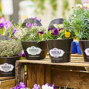 Agricola, un direttore per il garden center e nuove serre di produzione