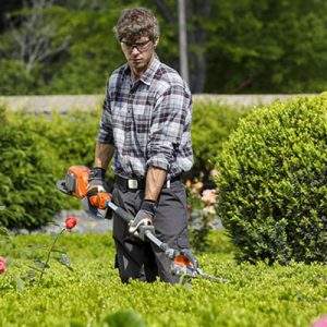 Gardening. Mercato stabile nel 2016, in crescita nel 2017