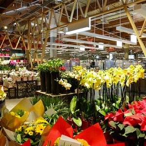 Extracoop di Coop Alleanza 3.0. Innovazione nel non food (brico compreso)