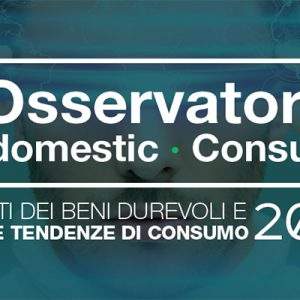 Osservatorio Findomestic 2018, il bricolage cresce