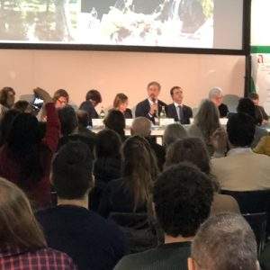 Il punto sul &ldquo;Bonus Verde&rdquo; e sulla definizione di giardiniere