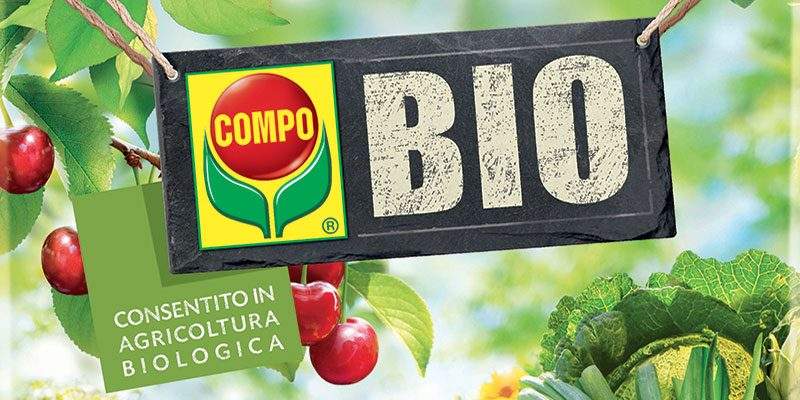 Fertilizzanti, la rivoluzione della lana di pecora