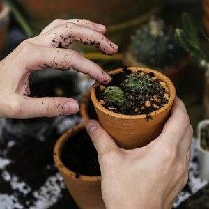 Nell’e-commerce il “garden” funziona