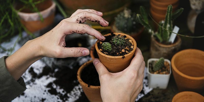 Con la primavera &ldquo;sboccia&rdquo; la voglia di verde