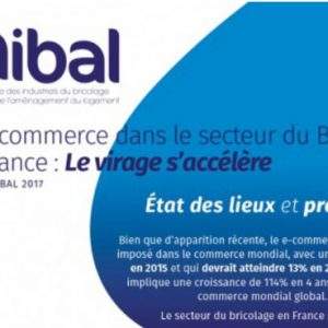 Unibal stima l’e-commerce nel 2020 (In Francia)