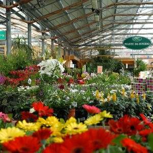 Viridea, garden center