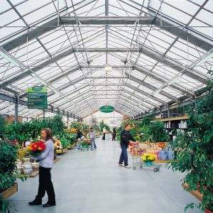 Il garden center Viridea
