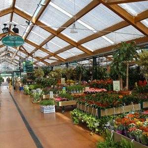 Il garden center Viridea