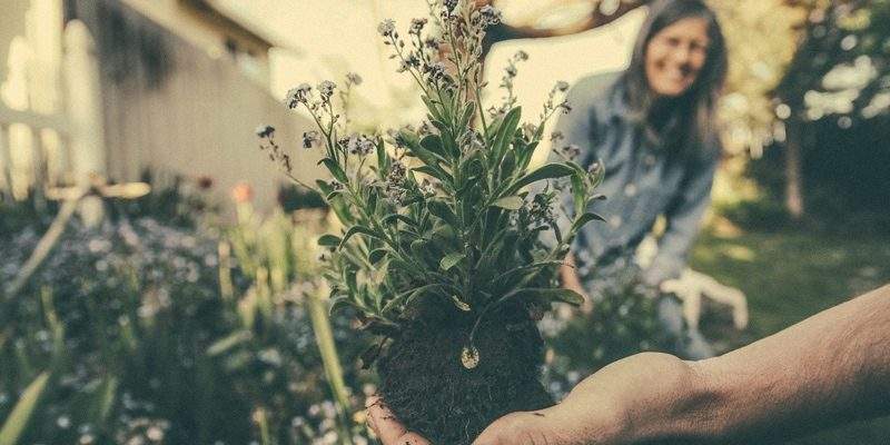 Coldiretti, il Bonus Verde sostiene 100 mila occupati
