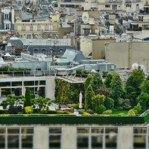 Il Bonus Verde è nella manovra di bilancio