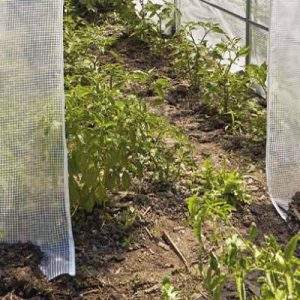 Serre Verdemax: protezione su misura per l&rsquo;orto e il giardino