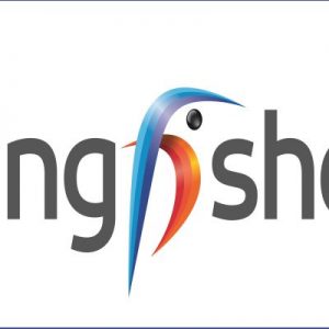 Kingfisher, 1° semestre negativo ma positivo