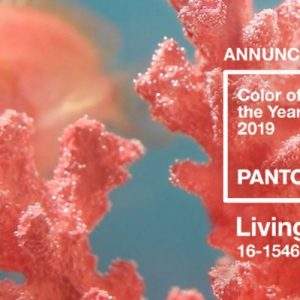 PANTONE® 2019: 16-1546 Living Coral