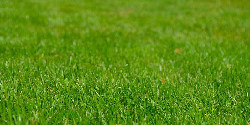 Nortene e  StanleyBlack&Decker insieme per il garden