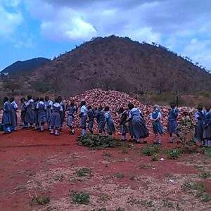 Un aiuto (in materiali) per costruire una scuola in Tanzania