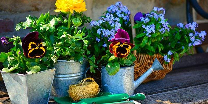 In Lombardia, una legge per i garden center