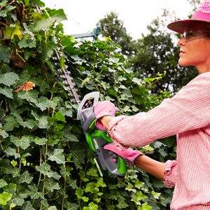 La comodità degli attrezzi a batteria per il giardino