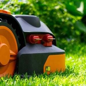 Il clima limita la crescita del giardinaggio nel 2019