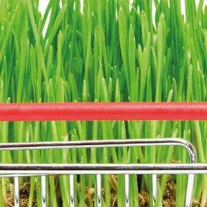 Rapporto Coop, voglia di cambiamento