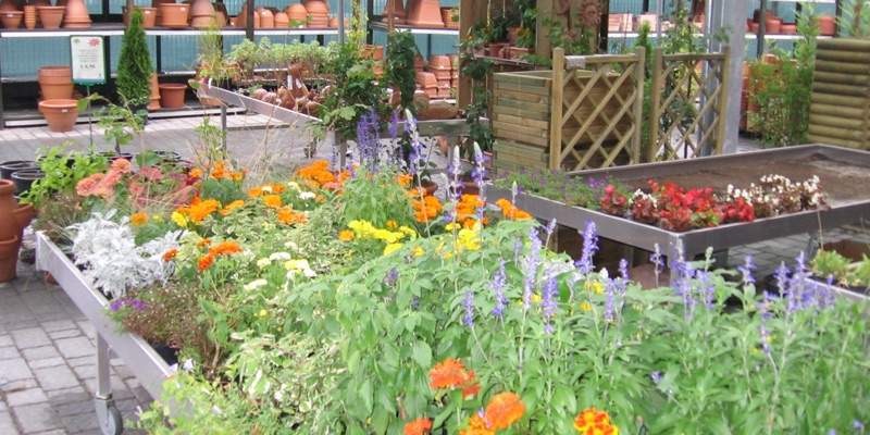 Covid-19: i garden possono rimanere aperti. Ma&hellip;