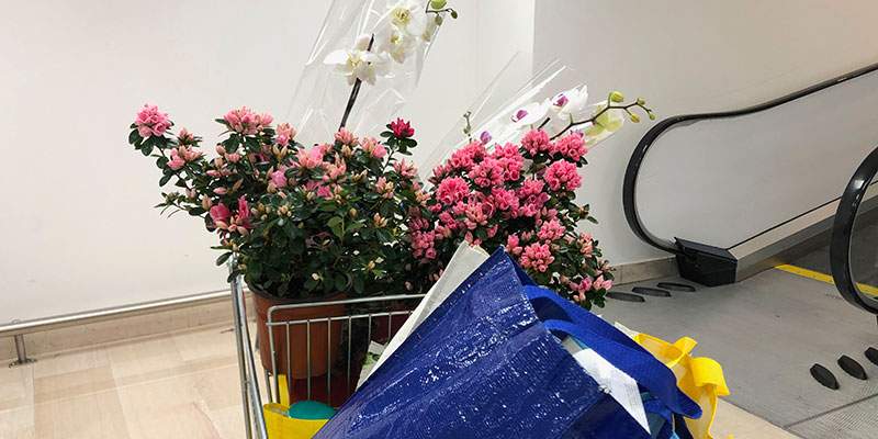 Federfiori chiede chiarezza
