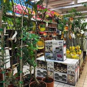Uniti per il “Garden”