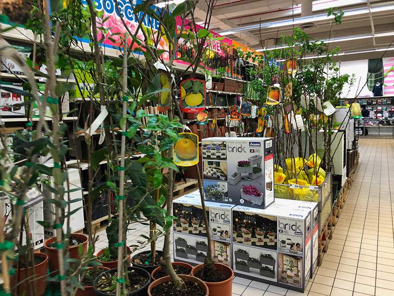 Uniti per il &ldquo;Garden&rdquo;