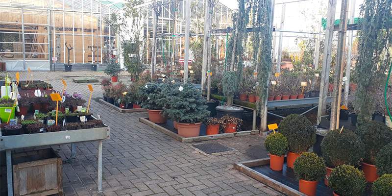 Vola l&rsquo;export post Covid di piante e fiori