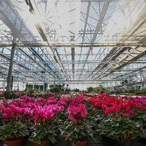 Floricoltura e vivaismo italiano per l’esonero dei contributi e innalzamento del Bonus Verde