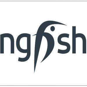Kingfisher, la nuova vita (più autonoma) delle insegne