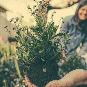 Nuove cariche in Comagarden. Nascono Assoidrotech e Agridigital