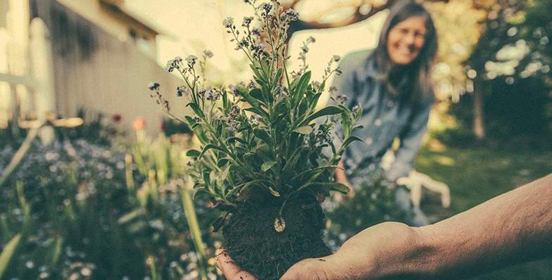 Osservatorio Nomisma: cresce la passione per il verde in Italia