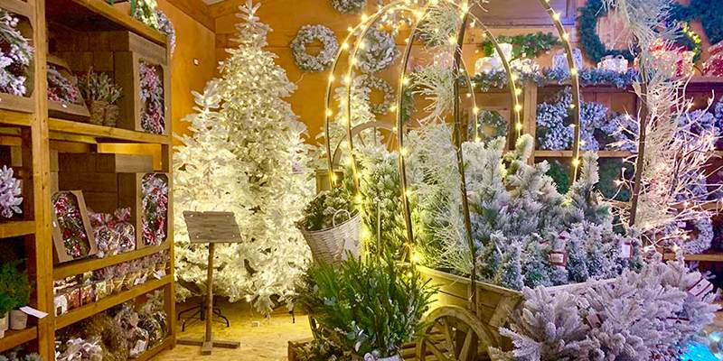 Prossimo step, il Natale. Sarà on line?