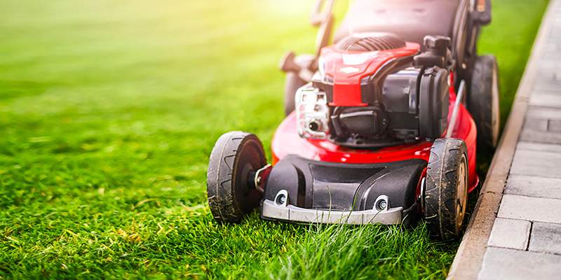 Le macchine per il gardening tornano a crescere