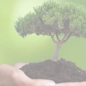 Kemper GO GREEN, i risultati di un anno