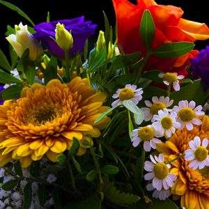 San Valentino, fiori per salvare 200 mila posti di lavoro