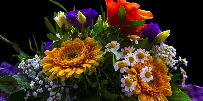 San Valentino, fiori per salvare 200 mila posti di lavoro