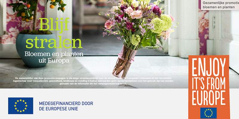 &ldquo;Keep on Shining&rdquo;, la campagna UE a favore di fiori e piante