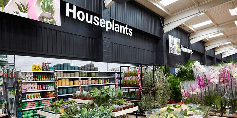 Il rinnovamento di Homebase