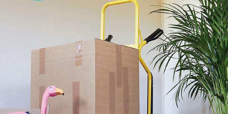 ManoMano, gli italiani e i traslochi